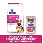 Hill's Prescription Diet Gastrointestinal Biome Guisado Frango e Legumes lata para cães, , large image number null